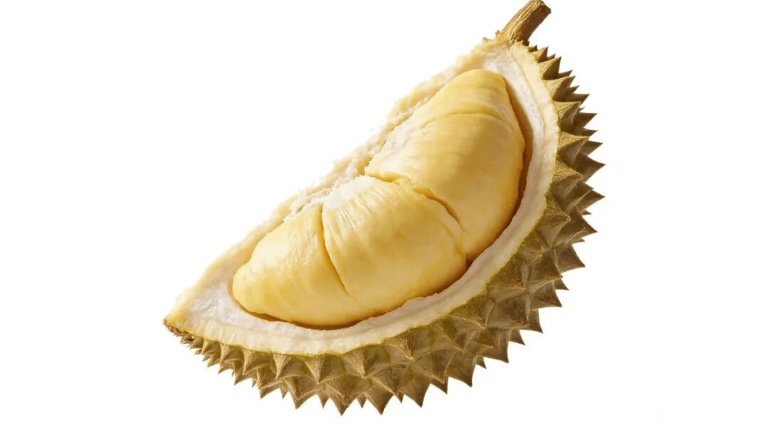 贵女养成指南