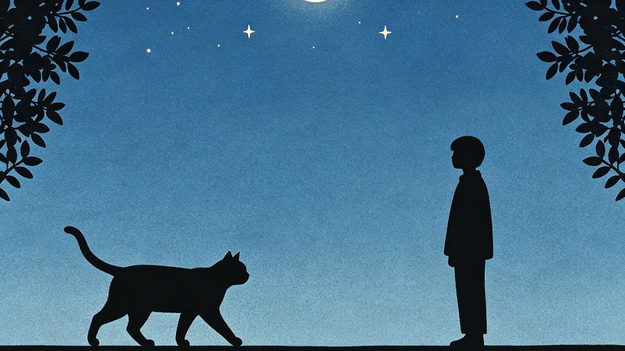 24个标签页与一只猫