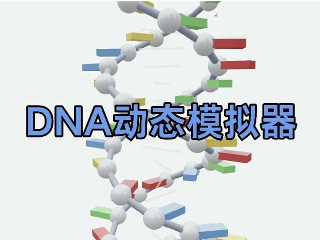DNA模拟器