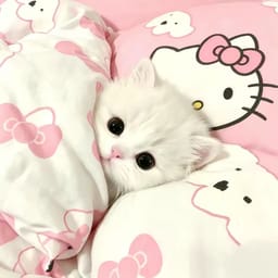 小小妤