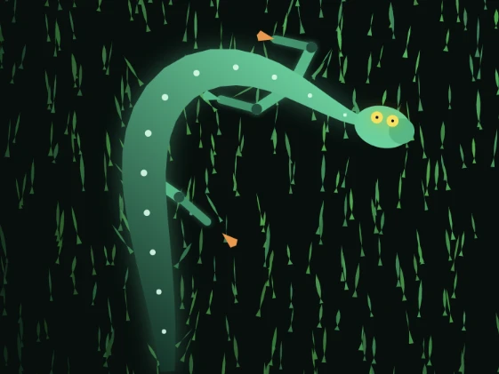 荧光猎手：进化之路 (Luminous Hunter: Evolution) cover