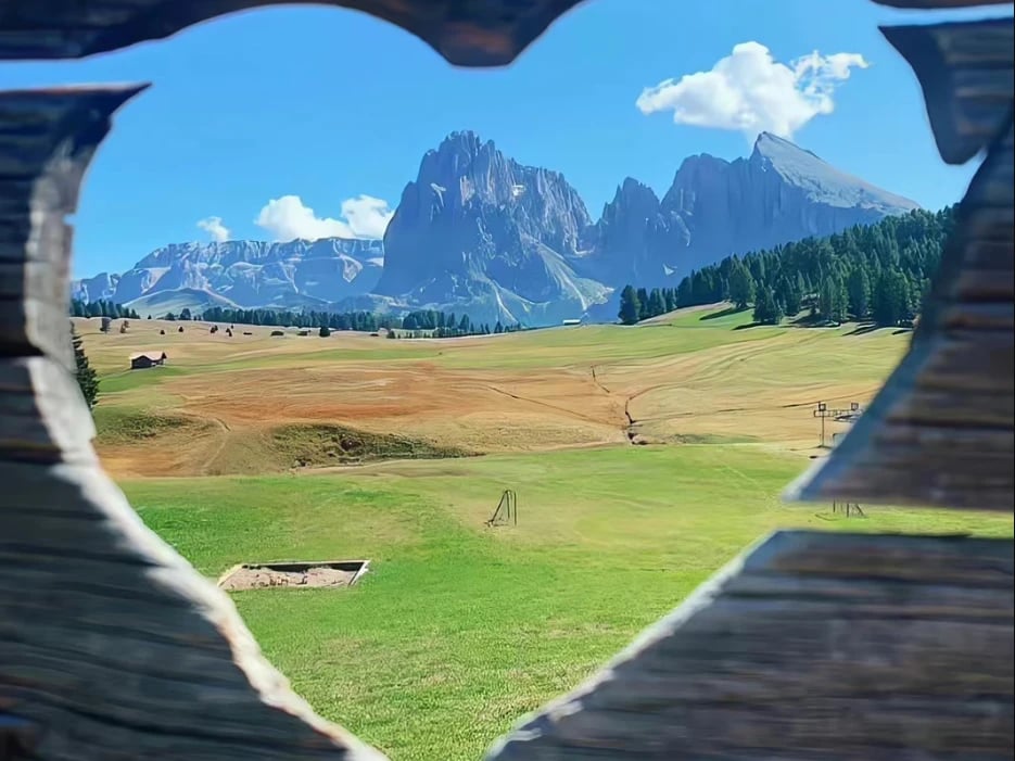 升升的专属圣诞树 cover